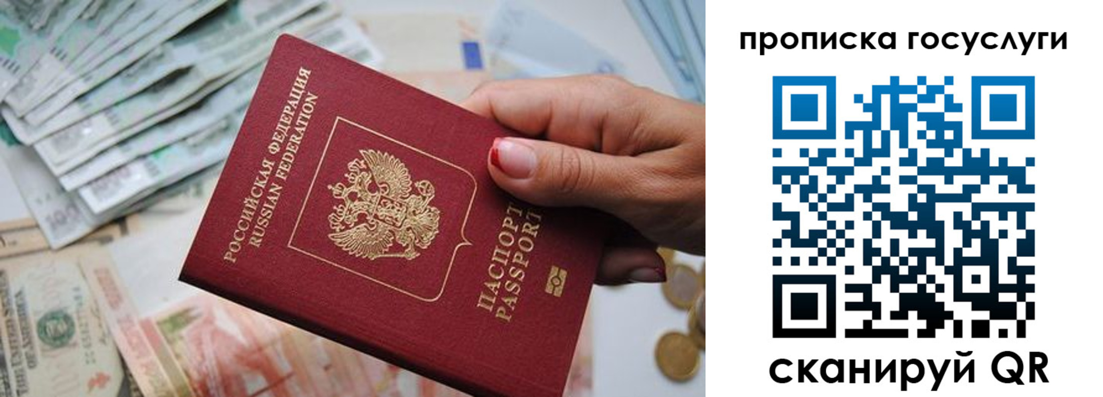 прописка поиск в Никольском
